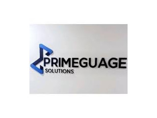 Primeguage Solutions Limited